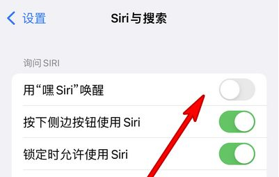 丹棱苹果13维修分享iPhone 13怎么唤醒 Siri  