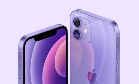 丹棱苹果手机维修分享紫色版iPhone 12有什么技术亮点 